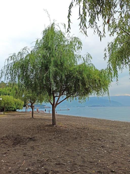 Luka Apartment In The Center Of Ohrid Ngoại thất bức ảnh